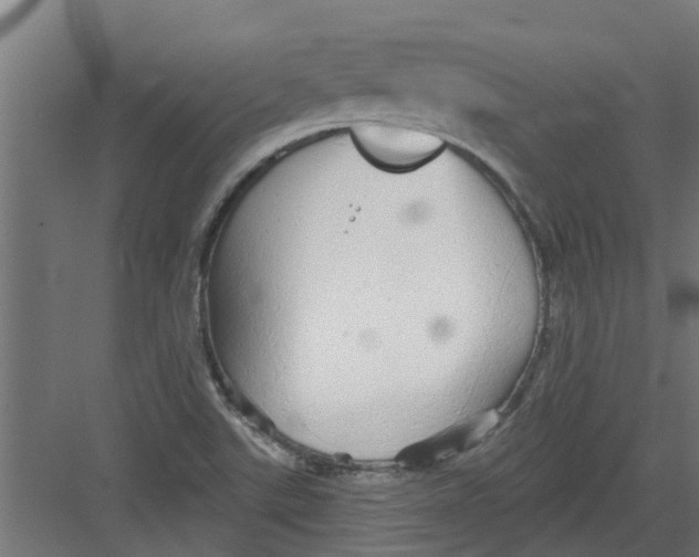 X0000082161507200702092204