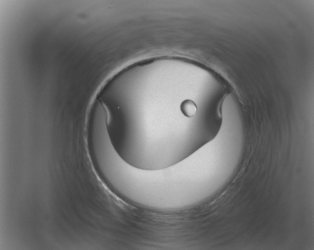 X0000082161508200702092204