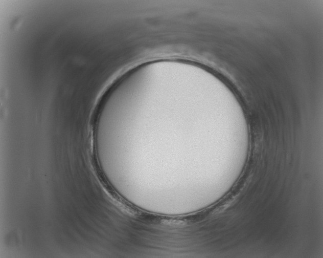 X0000082161509200702092204