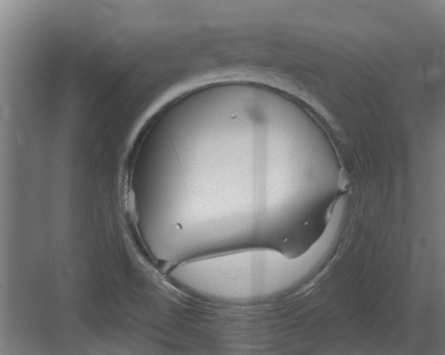 X0000082161510200702092204