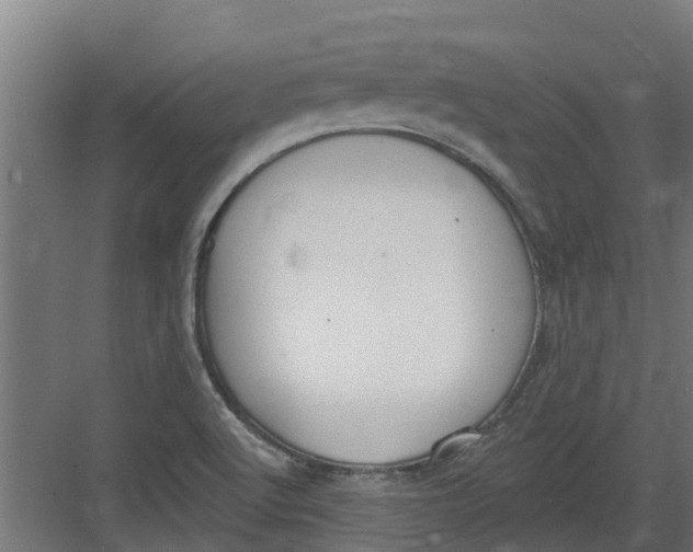 X0000082161512200702092204