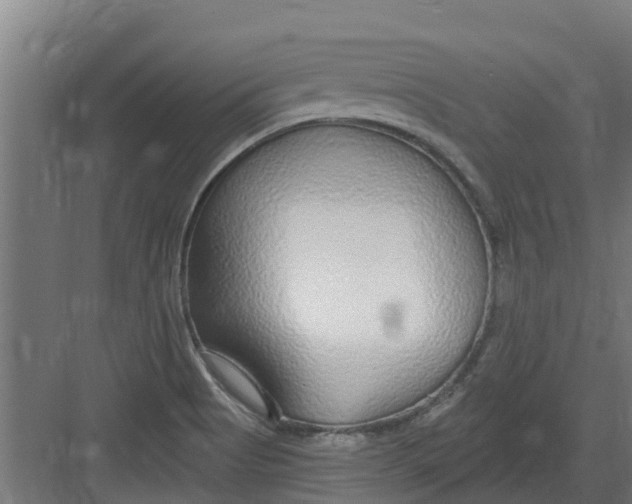 X0000082161513200702092204