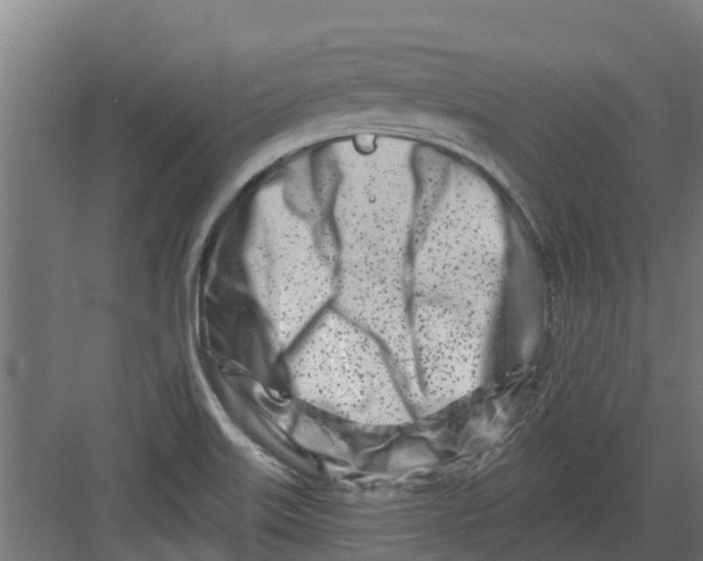 X0000082161515200702092204