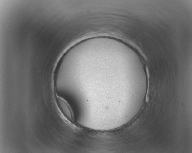 X0000082161516200702092204