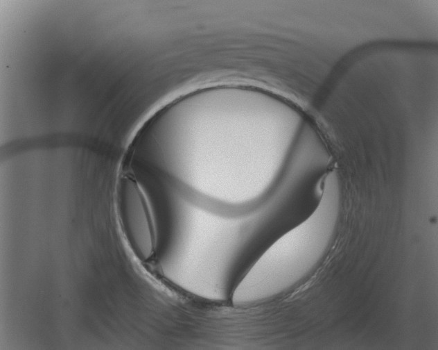 X0000082161518200702092204