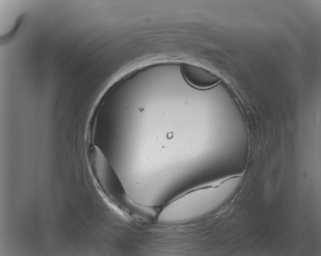 X0000082161519200702092204