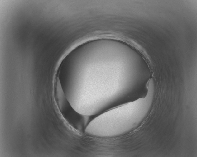 X0000082161520200702092204