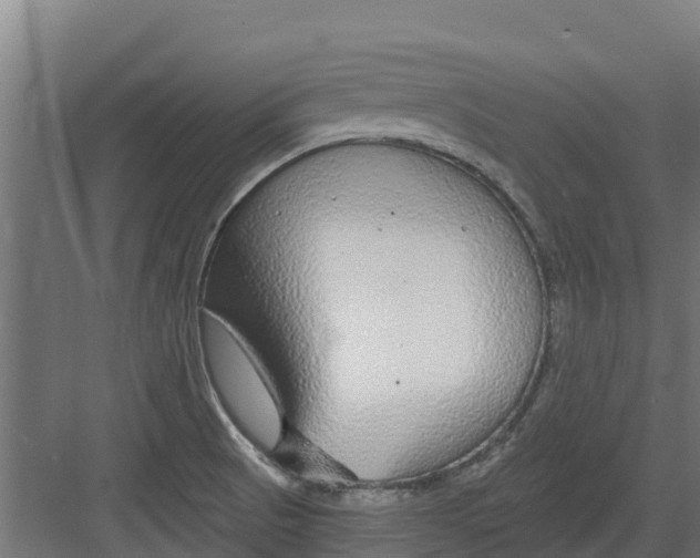 X0000082161521200702092204