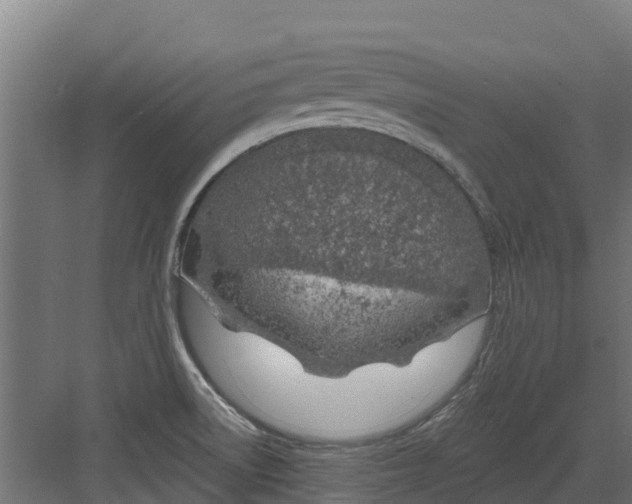 X0000082161522200702092204