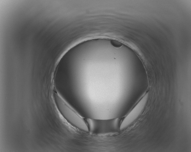 X0000082161524200702092204