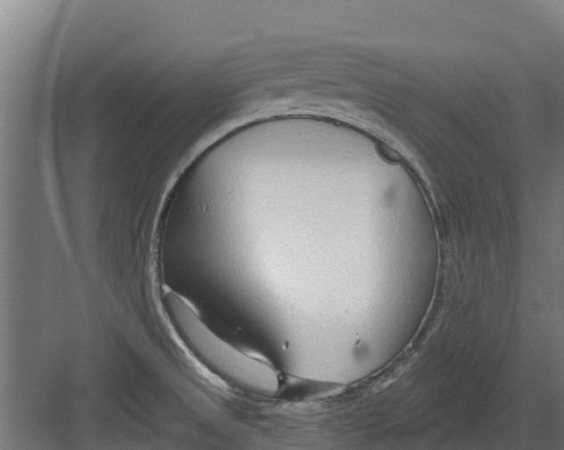 X0000082161525200702092204