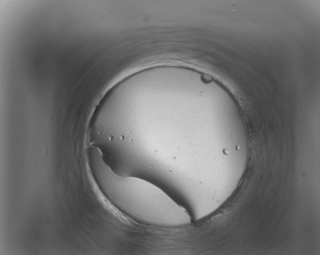 X0000082161526200702092204