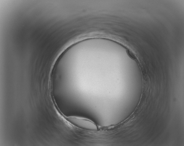 X0000082161527200702092204