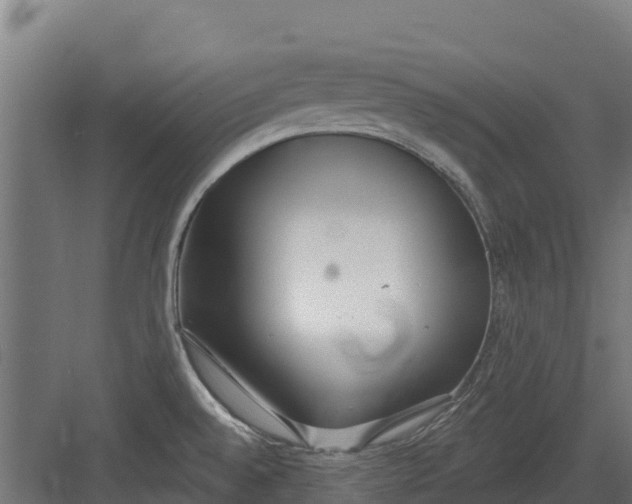 X0000082161528200702092204