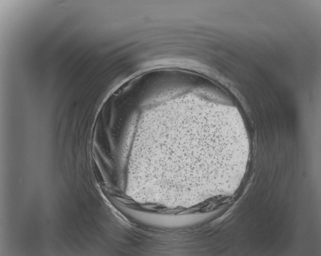 X0000082161529200702092204