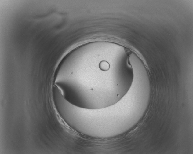 X0000082161530200702092204