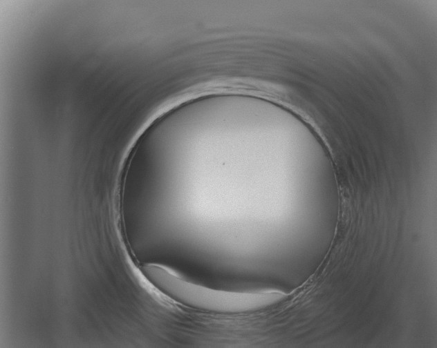 X0000082161531200702092204