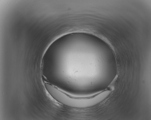 X0000082161532200702092204