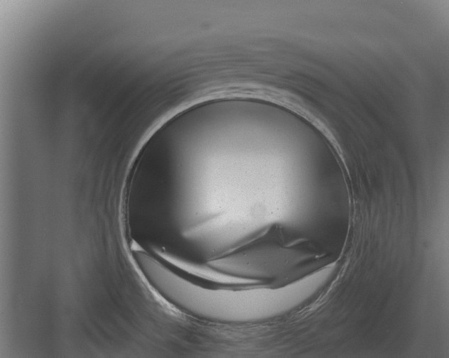 X0000082161533200702092205