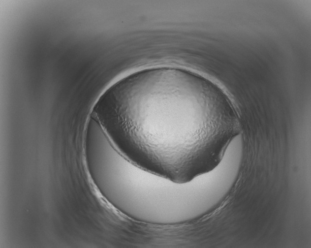 X0000082161534200702092205