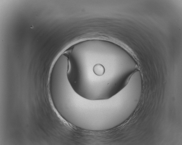 X0000082161536200702092205