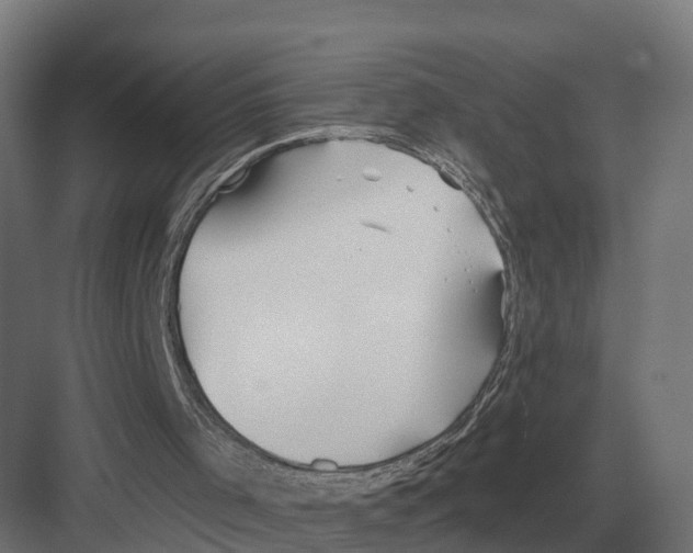 X0000082160001200702162246