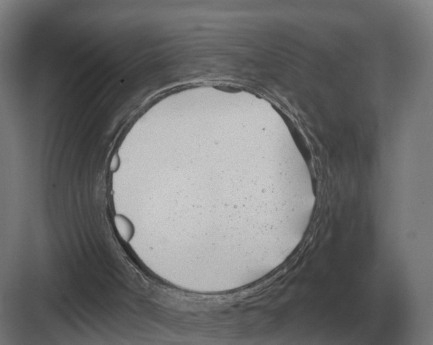 X0000082160002200702162246