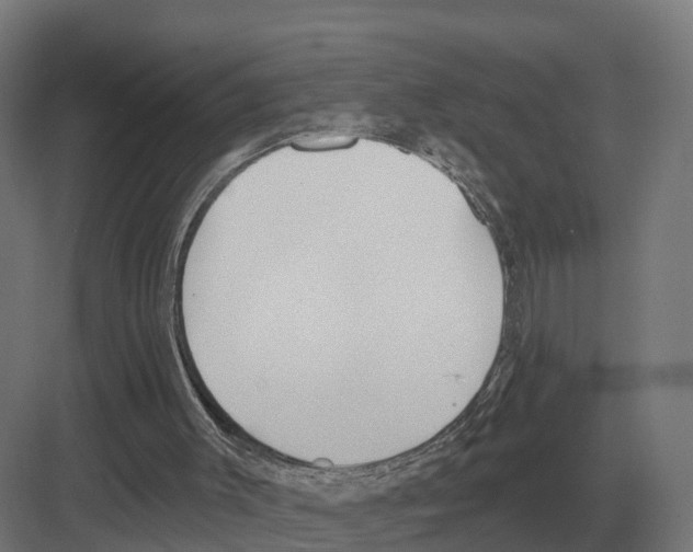 X0000082160003200702162246