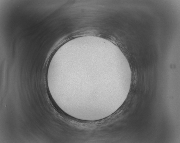 X0000082160004200702162246