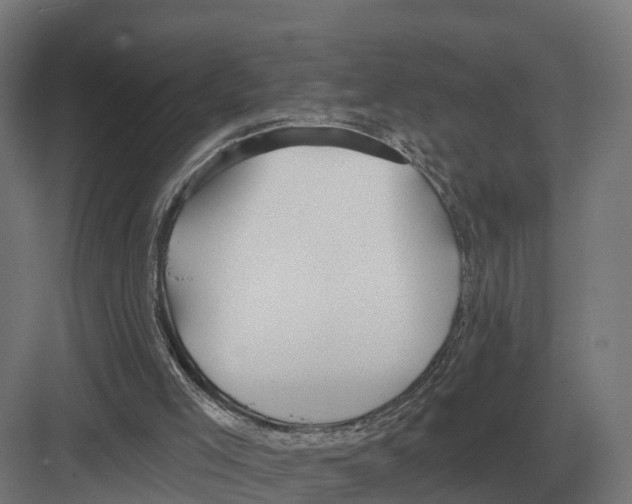 X0000082160005200702162246