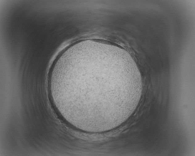 X0000082160006200702162246