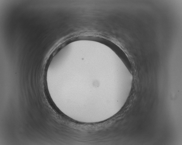 X0000082160007200702162246