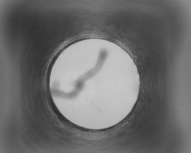 X0000082160008200702162246