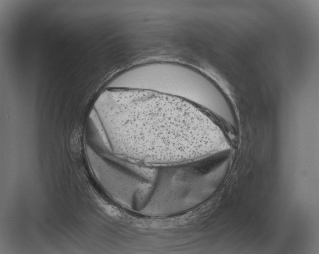 X0000082160009200702162246