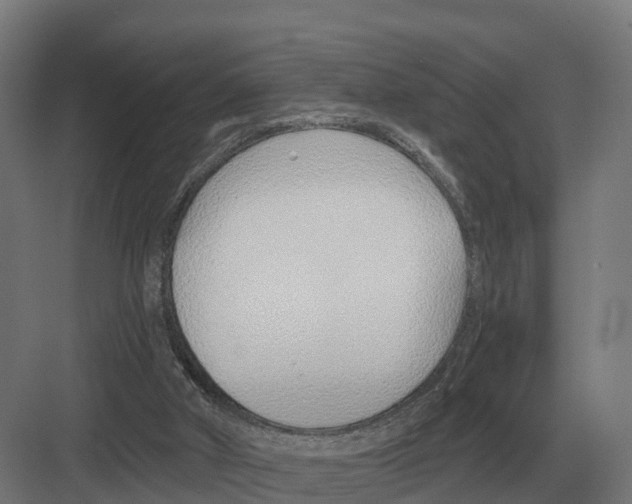 X0000082160010200702162246