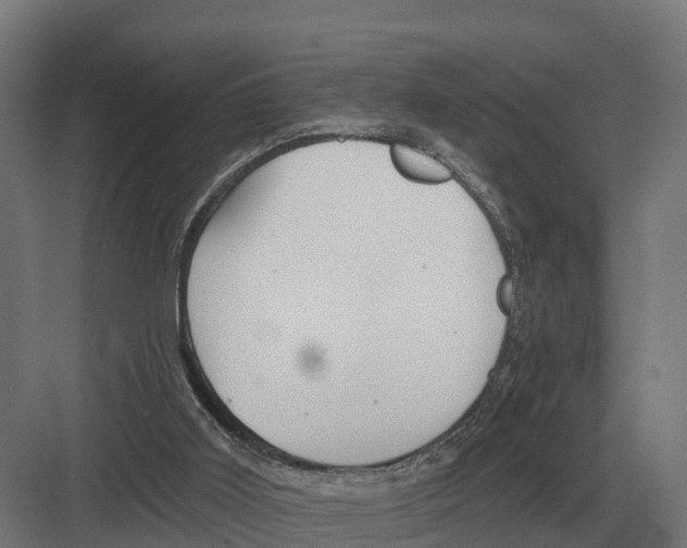 X0000082160011200702162246