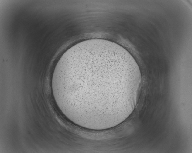 X0000082160012200702162246