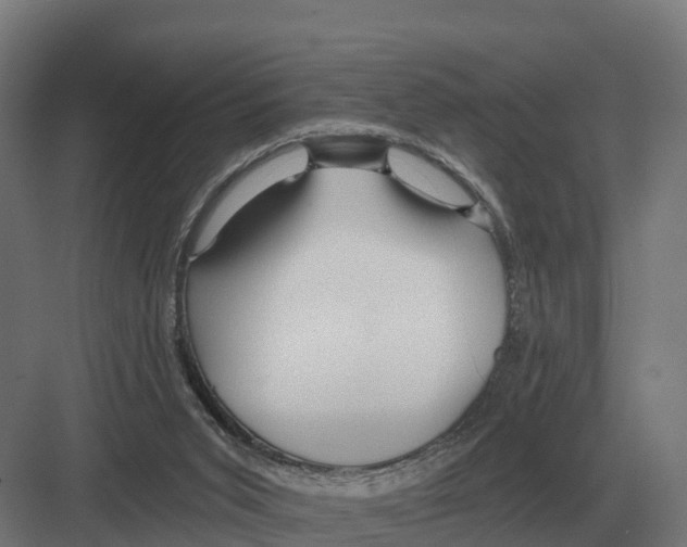 X0000082160015200702162246