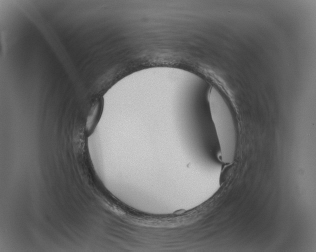 X0000082160017200702162246