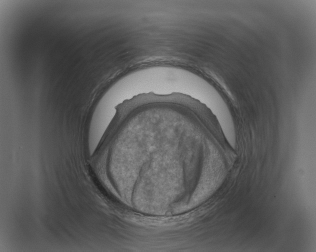 X0000082160023200702162246