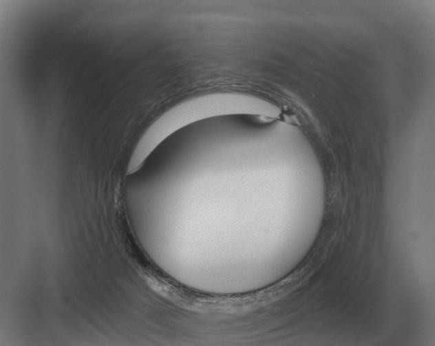 X0000082160025200702162246