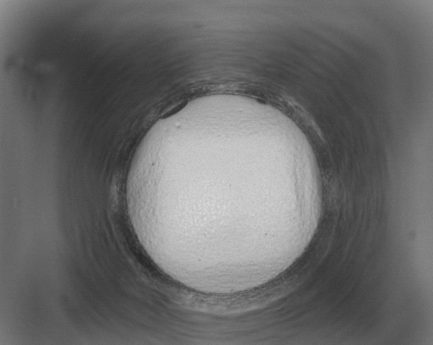 X0000082160026200702162246