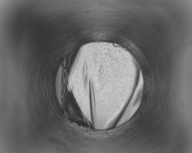 X0000082160029200702162246