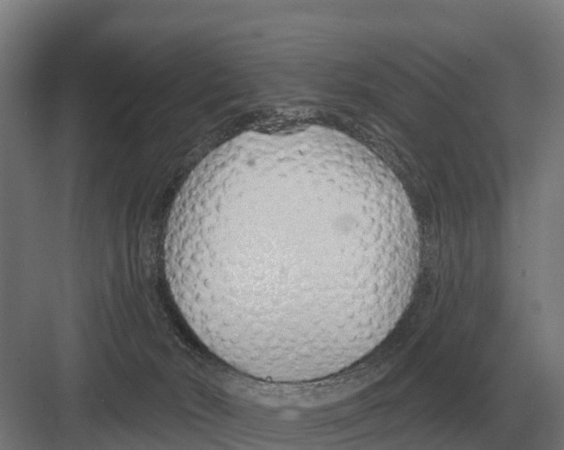 X0000082160030200702162246