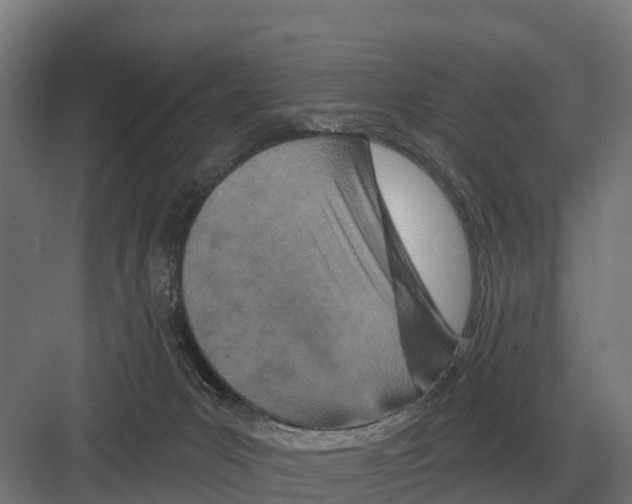 X0000082160031200702162246