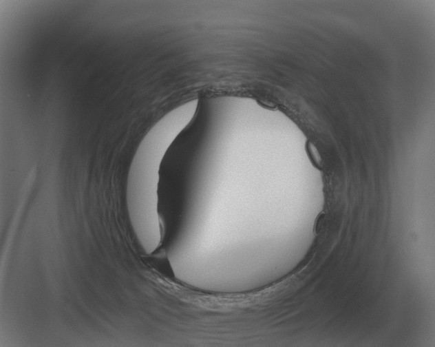 X0000082160033200702162246