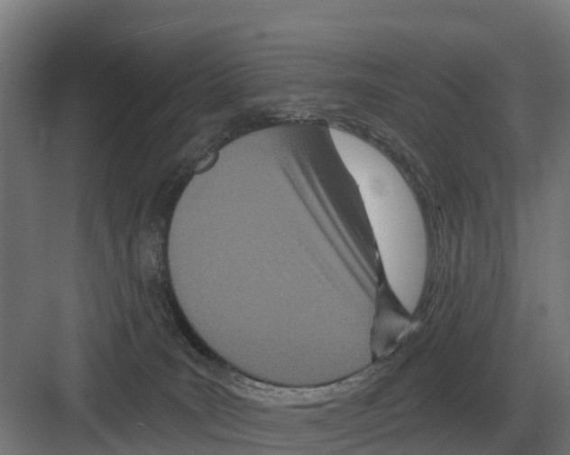 X0000082160035200702162246