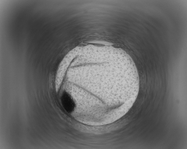 X0000082160038200702162246