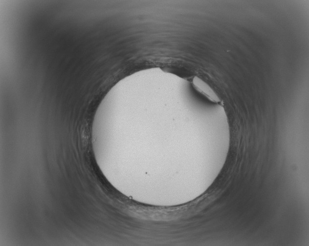 X0000082160040200702162246