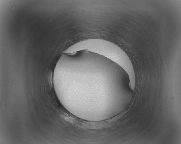 X0000082160041200702162246